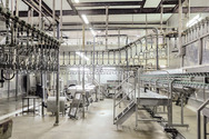 meat processing facility using NORD gear motors