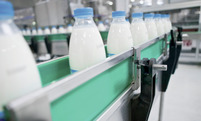 Förderung von Milch-Flaschen in der Lebensmittelindustrie