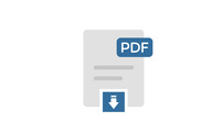 Download Icon PDF