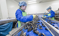 Drive Solutions for Seafood Processing