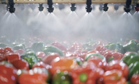 Versatile Drive Solutions for the Food Industry with AMBIT and NORD
